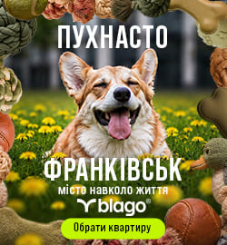 купити квартиру у івано франківську