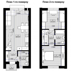Таунхаус Сімейний маєток, Святопетровское