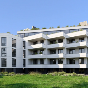 Новостройка, Львов, Пасечная