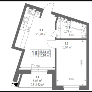 ЖК, Львов, Лисенецкая