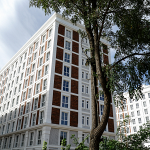 ЖК Oxford, Чайки