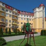 ЖК Чайка, Чайки