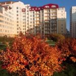 ЖК Чайка, Чайки