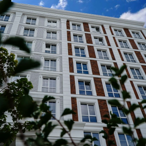 ЖК Oxford, Чайки