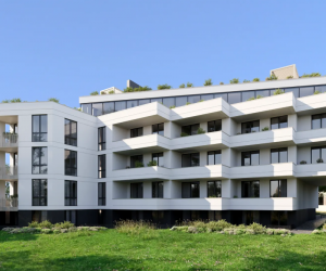 Новобудова, Львів, Пасічна