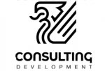 Consulting Development